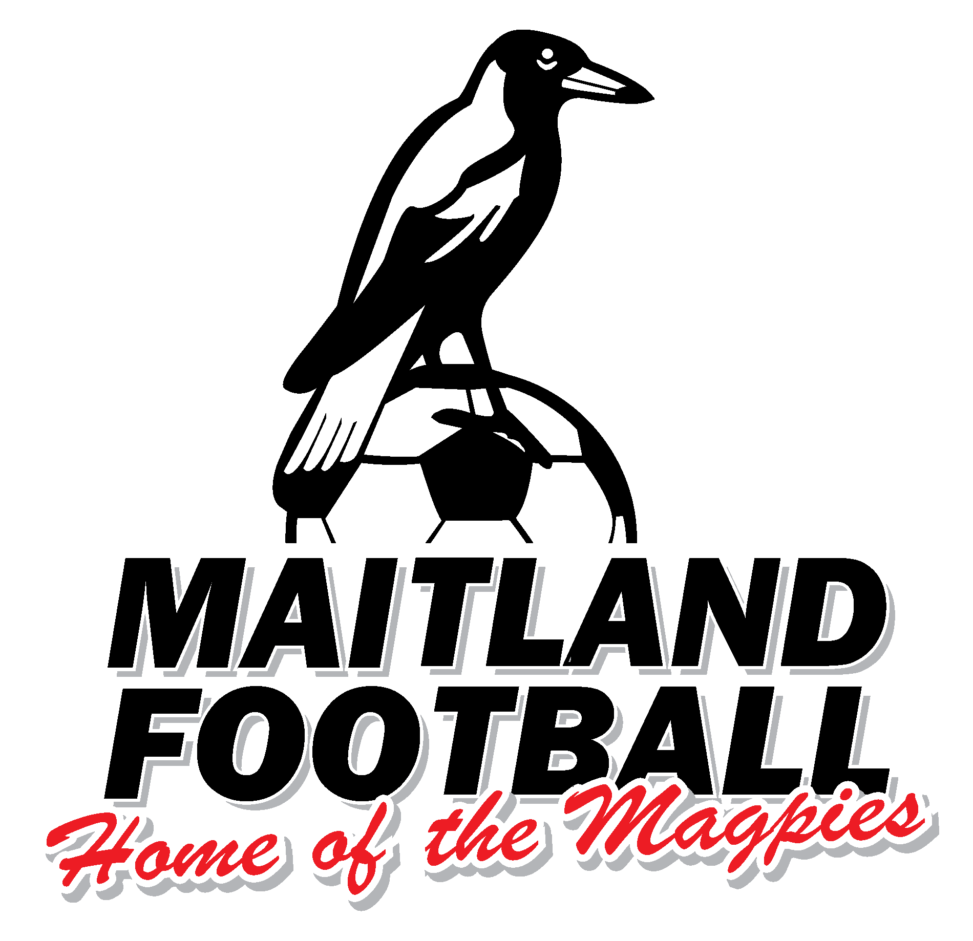 Maitland FC