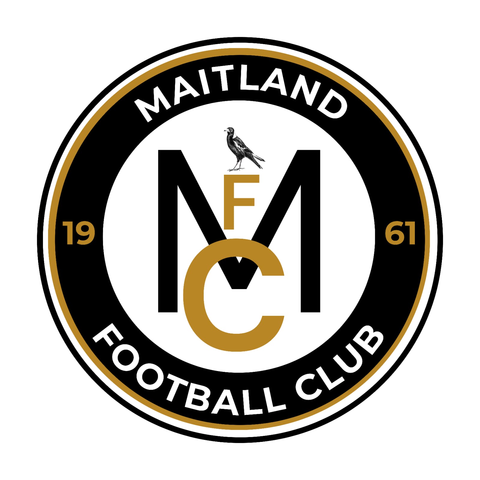Matlapeng Fc Home - Maitland Footbal Club